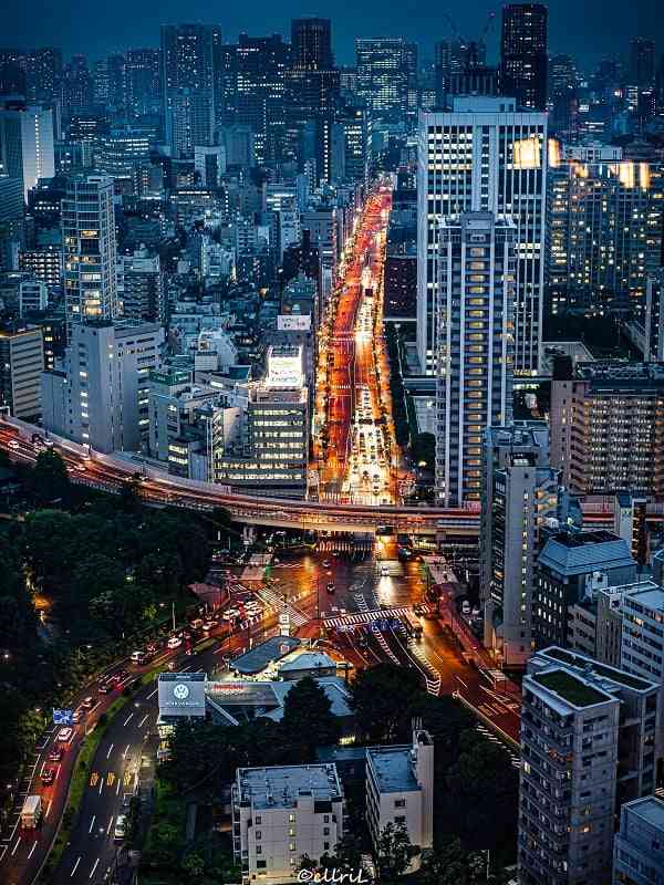 東京を感じる景色