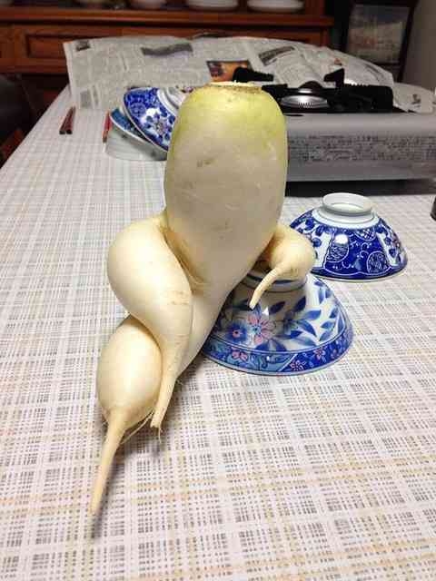 人間じゃないけど人間みたいな画像トピ