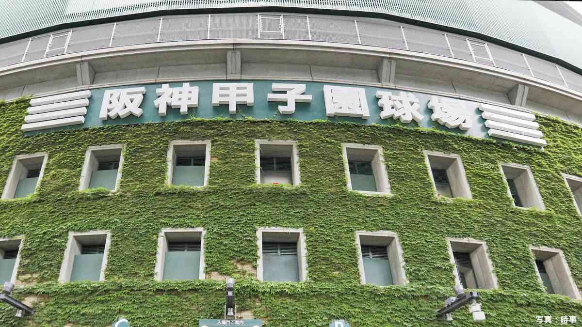 夏の甲子園組み合わせ決定！春夏連覇狙う健大高崎は第1日に英明と 春準V報徳学園は大社、大坂桐蔭は興南と 初の2部制実施へ【一覧】 | TBS NEWS DIG