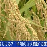 >>1何度か書いてるけど外国で1兆5千億円投資失敗した農林がその補填する為に値上げ... | ガールズちゃんねる - Girls Channel -