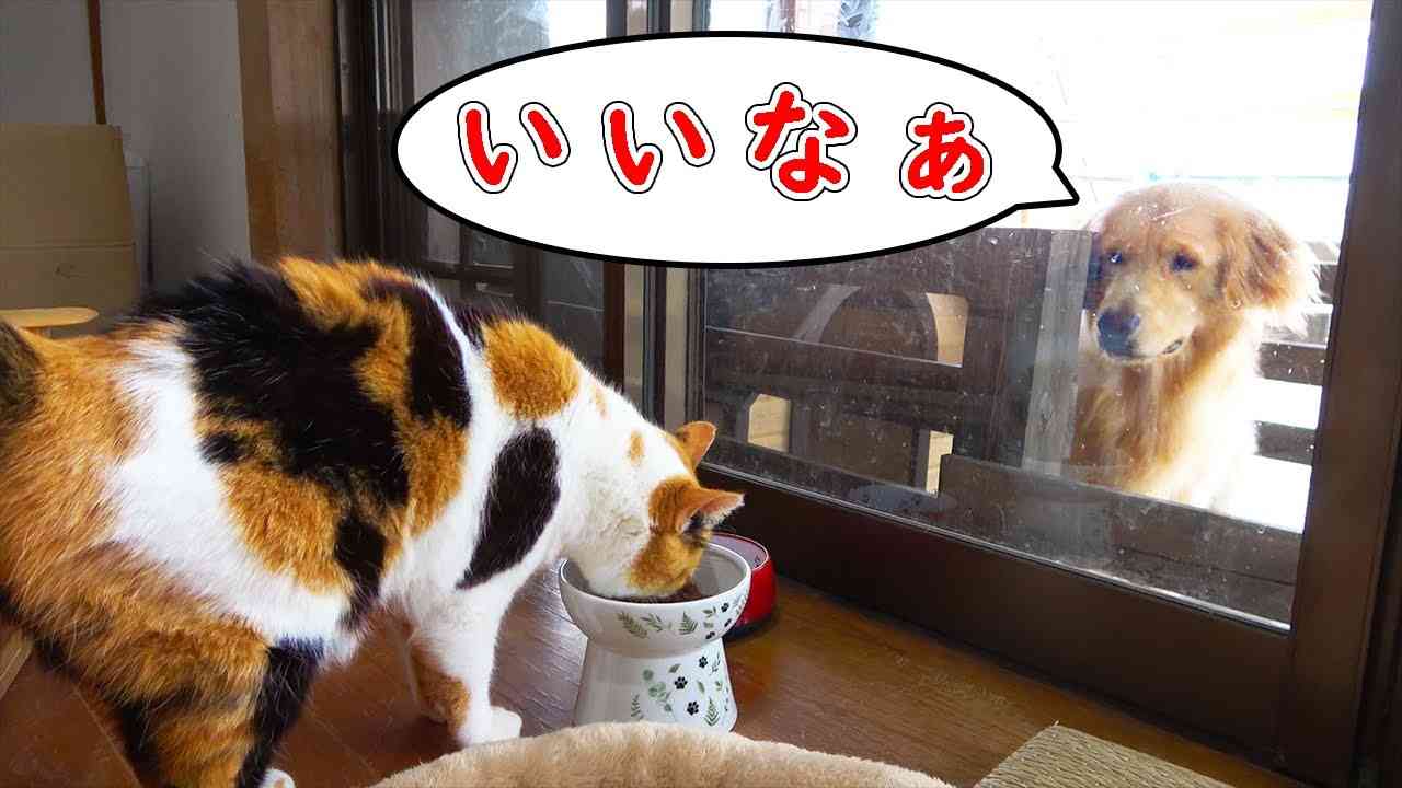 美人はサービスしてもらえるって本当ですか?Part4