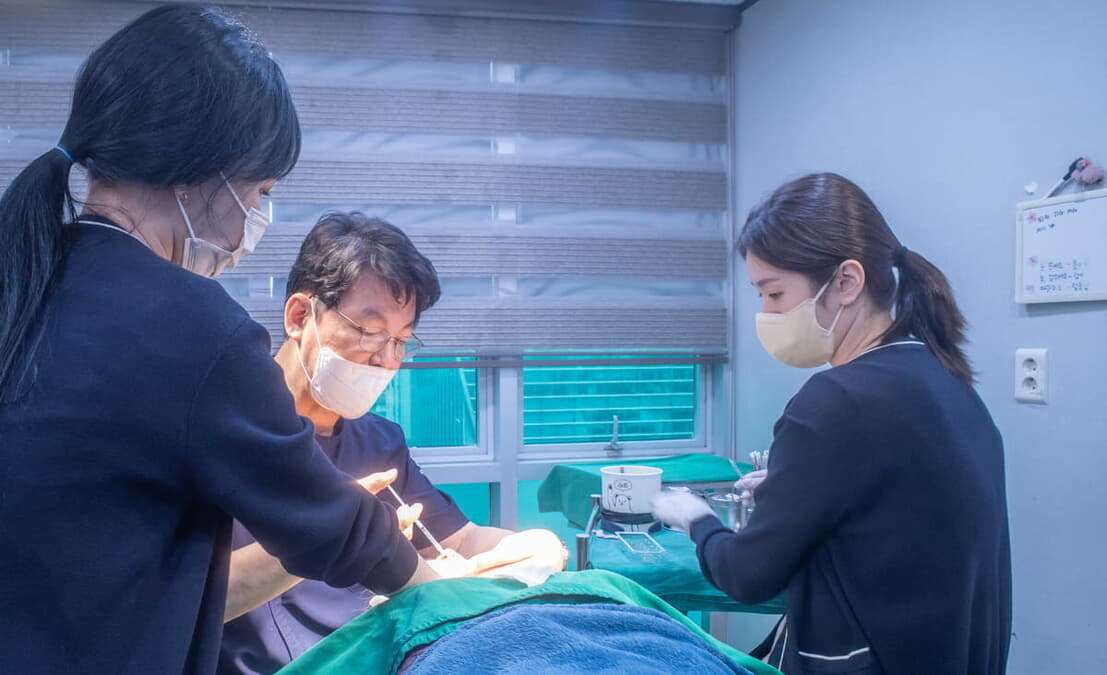美容整形手術数ナンバーワンの韓国、日本人女性をターゲットに動き出す｜ニューズウィーク日本版 オフィシャルサイト