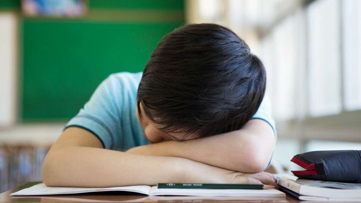 睡眠時間を削るほど子供はバカになる…小児科医が｢20時まで子供は寝たほうがいい｣と断言する科学的理由 いくら勉強しても成績が伸びない根本原因 | PRESIDENT Online（プレジデントオンライン）