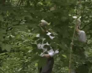 https://up.gc-img.net/post_img_web/2024/08/c70ba34dc5674ef89fa4938b7c1dbfa1_21990.gif