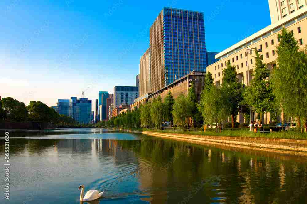 東京を感じる景色