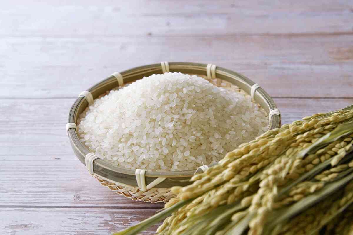 “訪日客が食べ過ぎだから”の珍説も…コメ不足の真相に迫る　農水省は「そろそろ解消」 | デイリー新潮