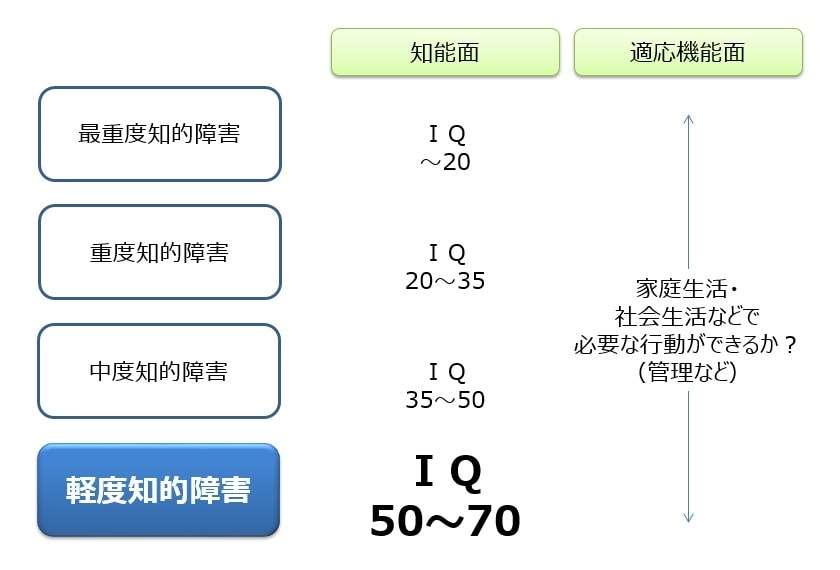 軽度知的障害の人