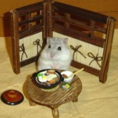 ろんぐて〜る on Twitter: 