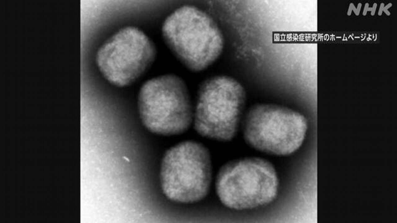 「エムポックス（サル痘）」の感染拡大 WHOが緊急事態宣言 アフリカ以外にも広がるおそれ | NHK | WHO