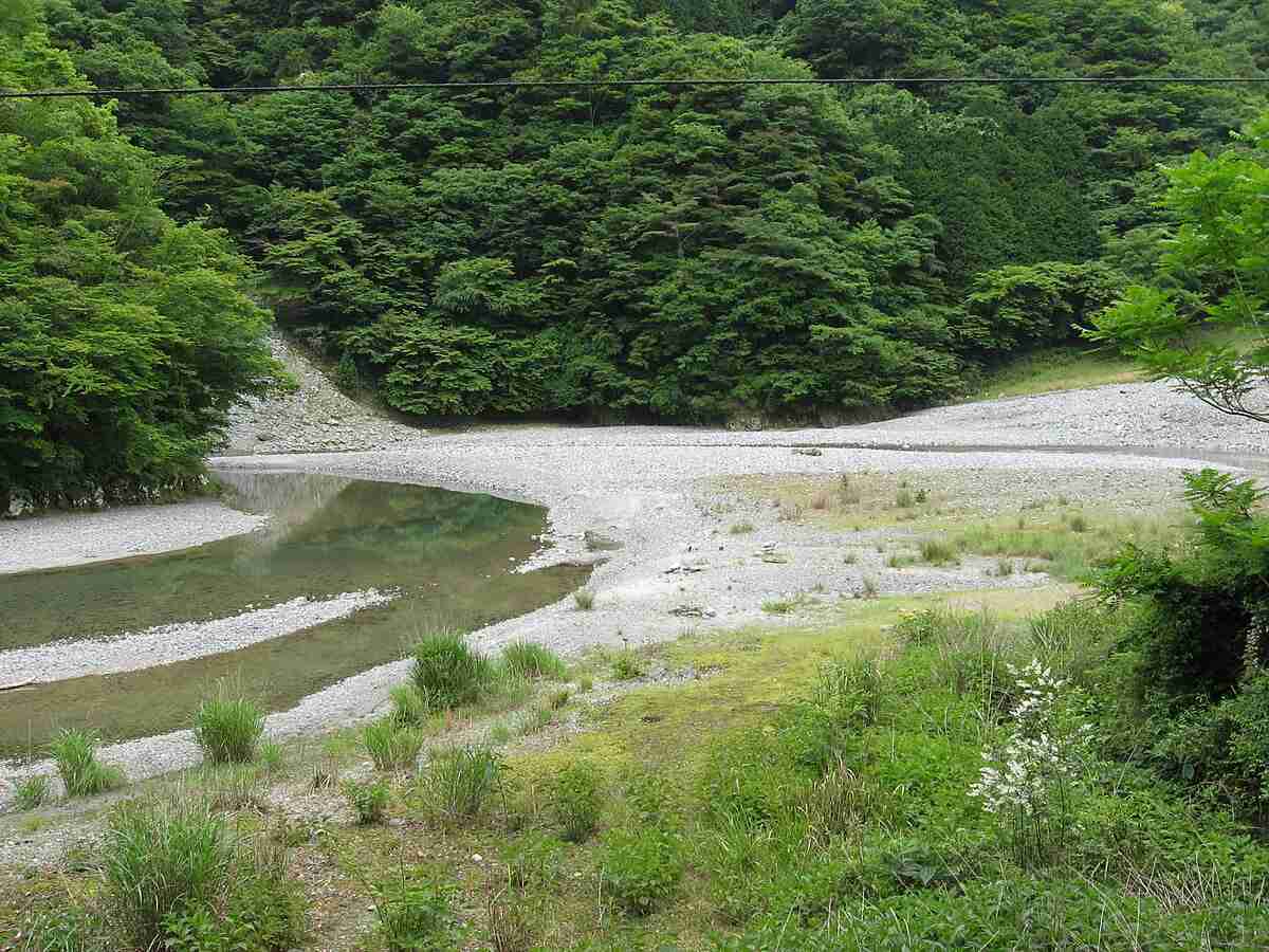 玄倉川水難事故 - Wikipedia