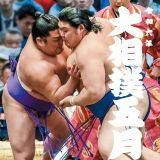 >>1オワコンのスポーツ相撲とやきうMLB人気復活の鍵は“大谷”　サッカー人気に押さ... | ガールズちゃんねる - Girls Channel -