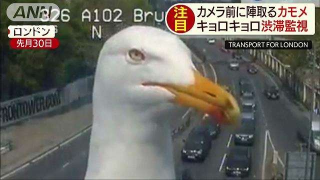 色んな写り込みの画像を貼るトピ