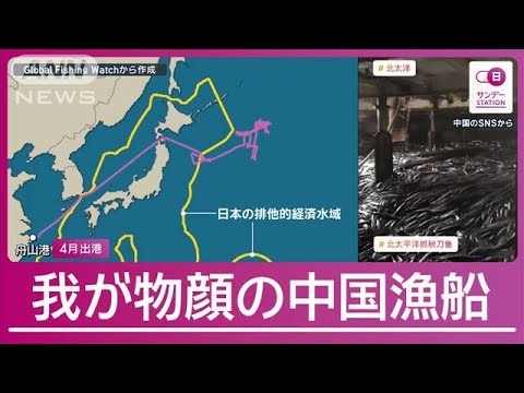 中国船“禁輸後”も三陸沖操業かデータで浮かぶ実態 日本の漁師「矛盾してる」【サンデーステーション】(2024年8月25日)