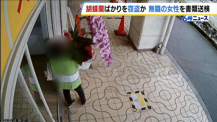 開店祝いの『胡蝶蘭』ばかり盗んだ疑い　防犯カメラには抱きかかえて店外に出る姿「自分のものにしたかった」６３歳女性を書類送検 | MBSニュース