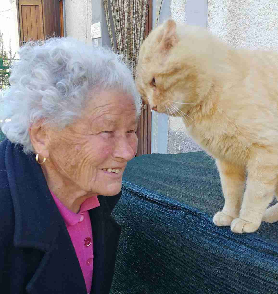 4年前に地震で生き別れとなった愛猫とおばあちゃんが感動の再会！仲睦まじく寄り添う姿にほっこり