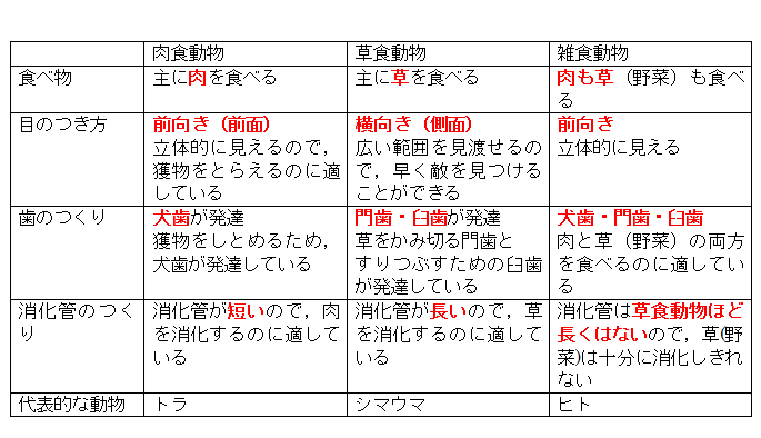 子どもの夢「おもちゃショー」前で動物の“残酷ポスター”現地で批判もヴィーガン活動家「1日目は過激なものを控えたが、血が流れていないものでは足りなかった」