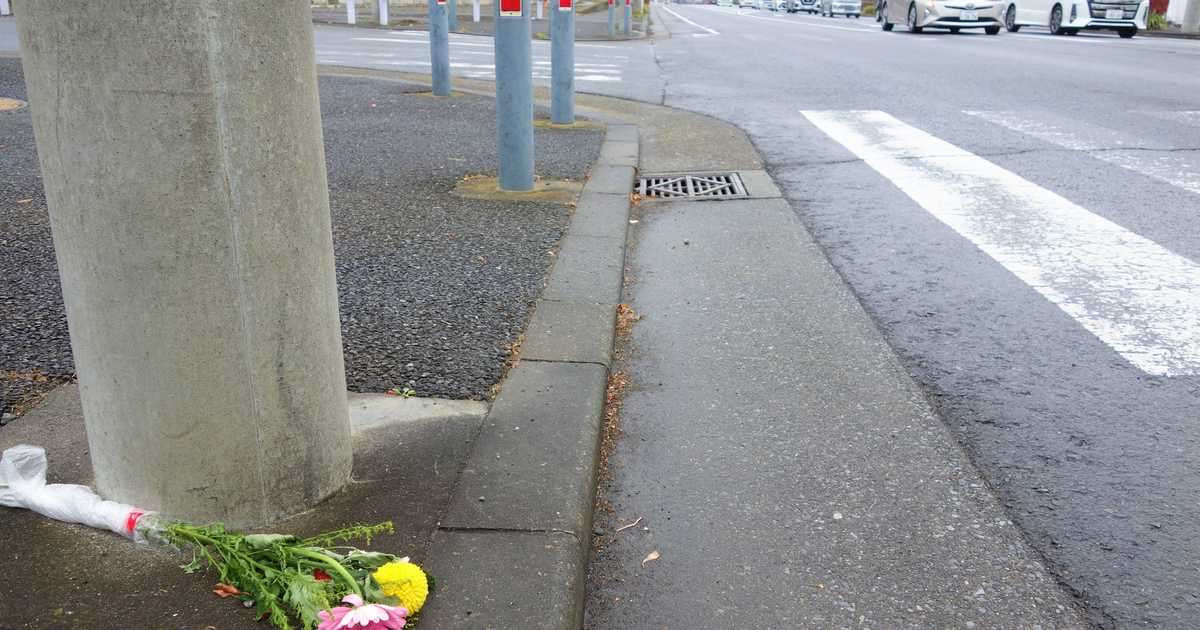 【「移民」と日本人　今年起きること】おばあさんは外国人のダンプにひかれ死んだ　事故率は本当に高いのか - 産経ニュース