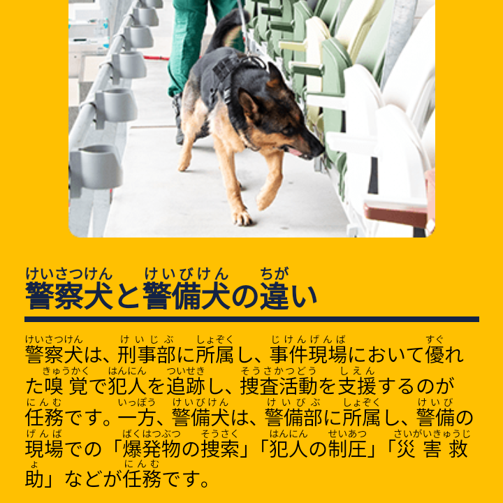 枕のにおい嗅ぎわずか16分、鼻先向けると…　警察犬ヴィクトール号、尼崎で不明者を発見