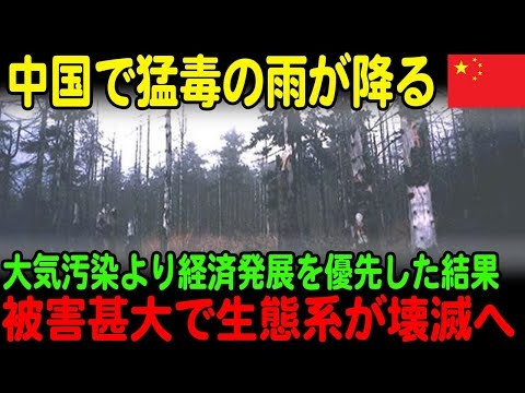 【海外の反応】中国で猛毒の雨が降る...経済発展を優先し、気候を無理やり変動させた代償を払うハメに【JPNプライム】