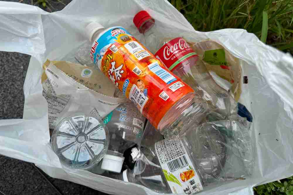 ゴミを撒き散らすデモ行進に、有明・豊洲の住民は怒っています | とよすと - 毎日更新！豊洲エリアの今がわかる地域情報サイト