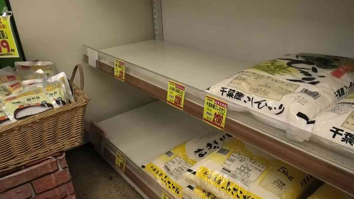 【解説】「コメが足りない」の正体と今後の価格　関係各所からの声で見えてきた「品薄の構図」（2024年9月2日掲載）｜日テレNEWS NNN