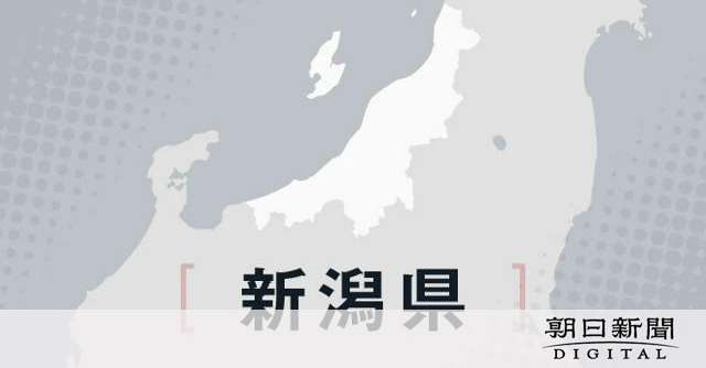 食器がひじに触れアレルギー症状か、給食後に児童を救急搬送　新潟県 [新潟県]：朝日新聞デジタル