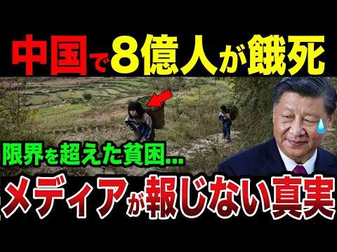 中国8億人が餓死...メディアが報じない真実に驚愕...【ゆっくり解説】
