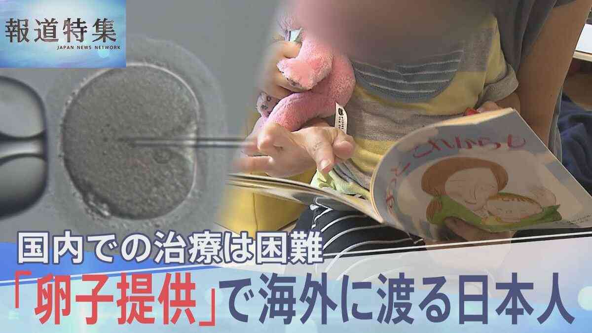 「卵子提供」国内で進まない理由は？ “似ていない”兄弟と指摘され…出産後も親が抱える不安【報道特集】 | TBS NEWS DIG
