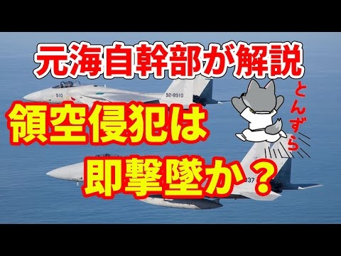 【元海上自衛隊幹部が解説】領空侵犯は即撃墜か？