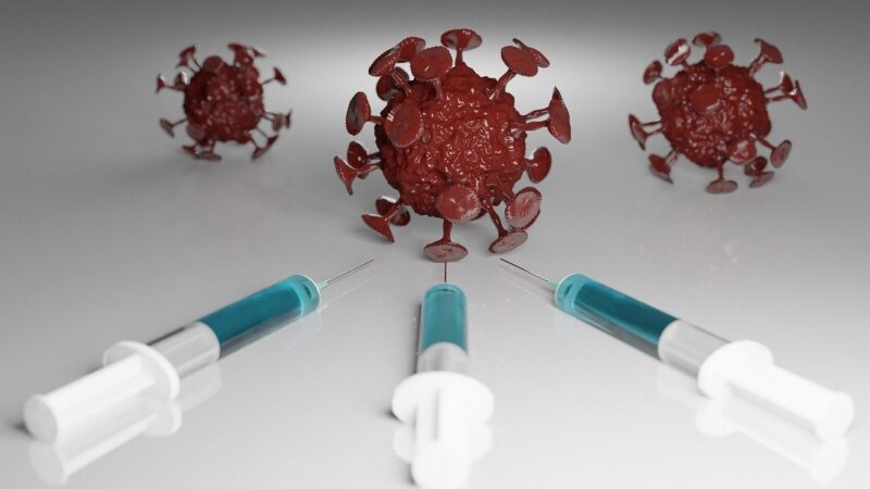 HDT Bio receives Emergency Use Approval for Covid-19 vaccine in India