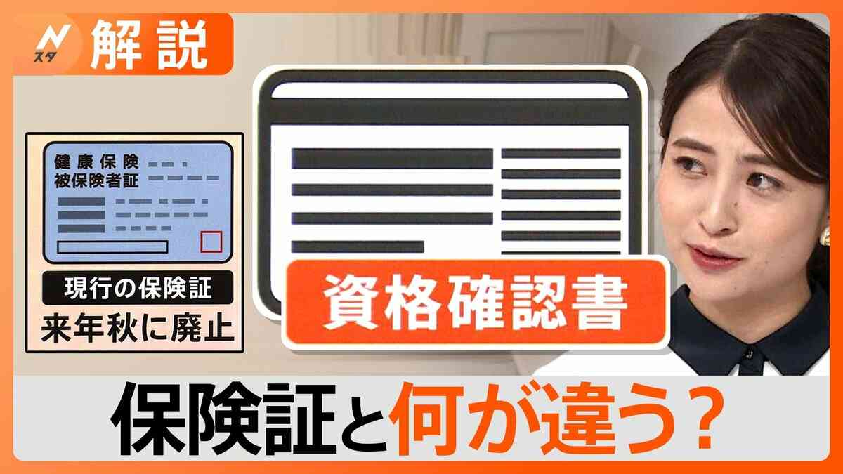 「マイナ保険証」持たない人に「資格確認書」交付、約240億円コスト増!?「健康保険証」は廃止へ【Nスタ解説】 | TBS NEWS DIG