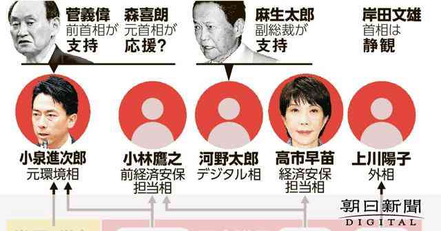 「決選投票では分かっているな」すごむ菅氏　混戦の総裁選、動く重鎮 [自民]：朝日新聞デジタル