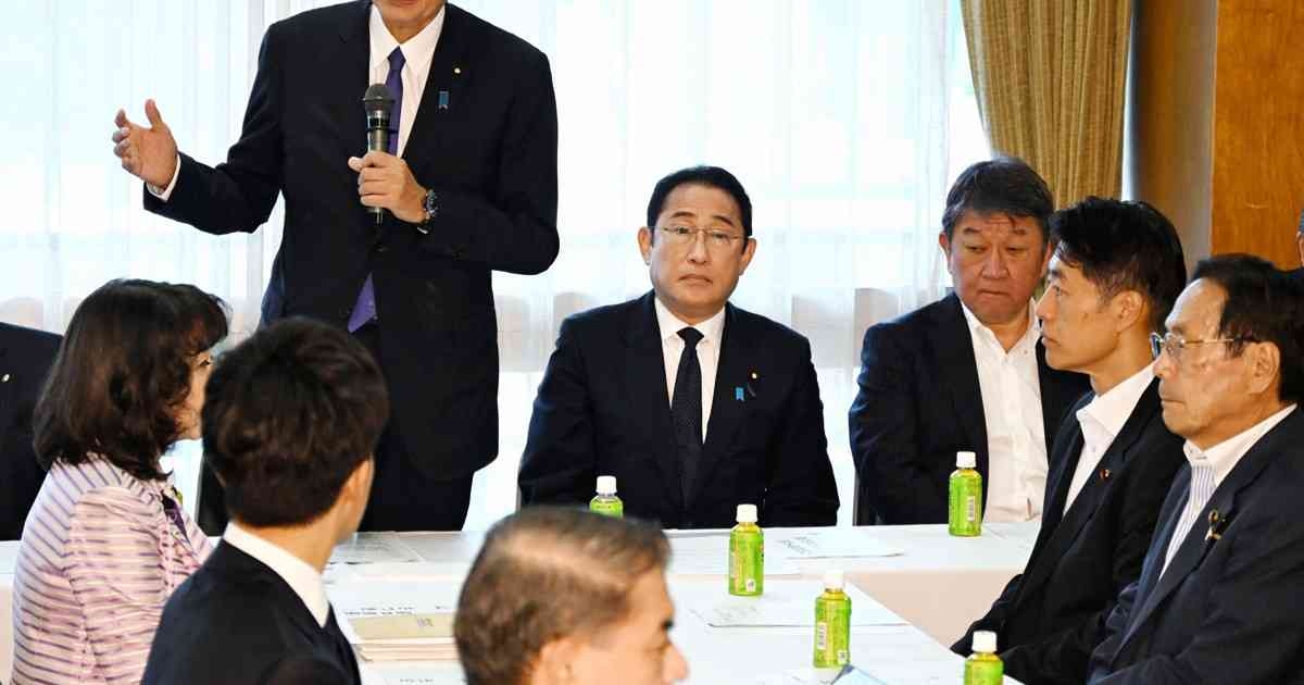 自民、憲法改正の論点まとめる　自衛隊や緊急政令について明記
