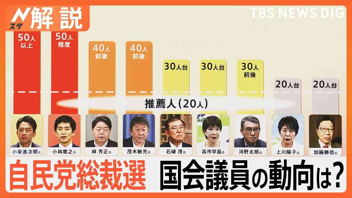 自民党総裁選　独自調査で自民議員票「8割超」が判明　立憲民主党代表選の結果が影響も？【Nスタ解説】 | TBS NEWS DIG