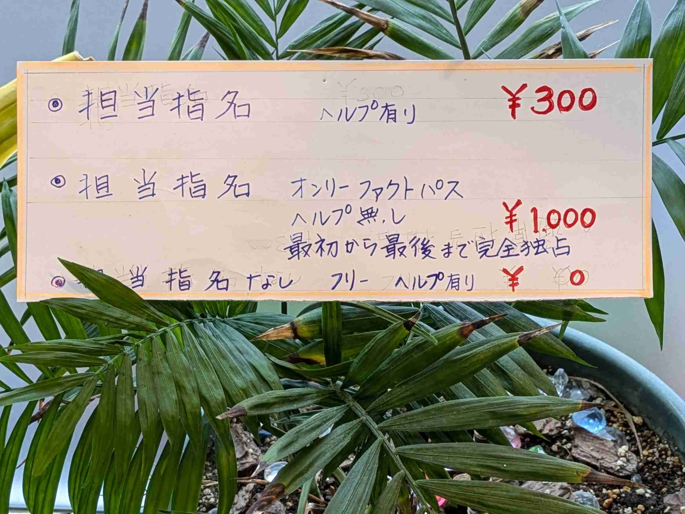 【美容院】指名料いくらまで出せますか？