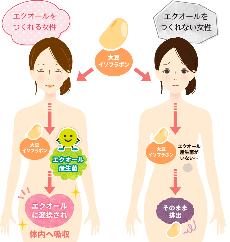 エクオール検査