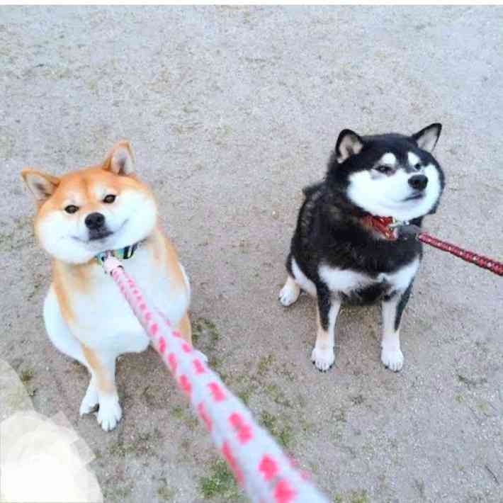 なんでお局さんは新人を大切にできないのか