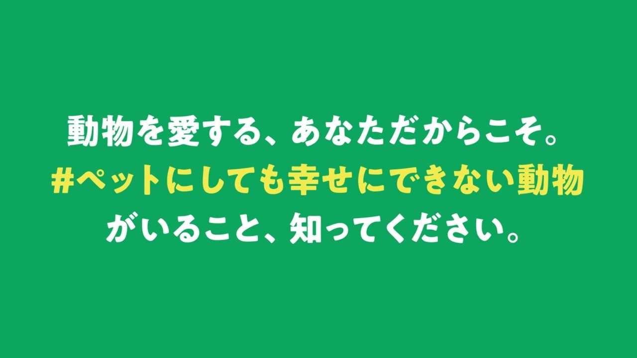 “害獣”アライグマが東京23区内でも急増中！ 指を食いちぎる凶暴さ、感染症の恐れも…「繁殖力が強く家の屋根裏に棲みついてしまう」被害総額は4億円超