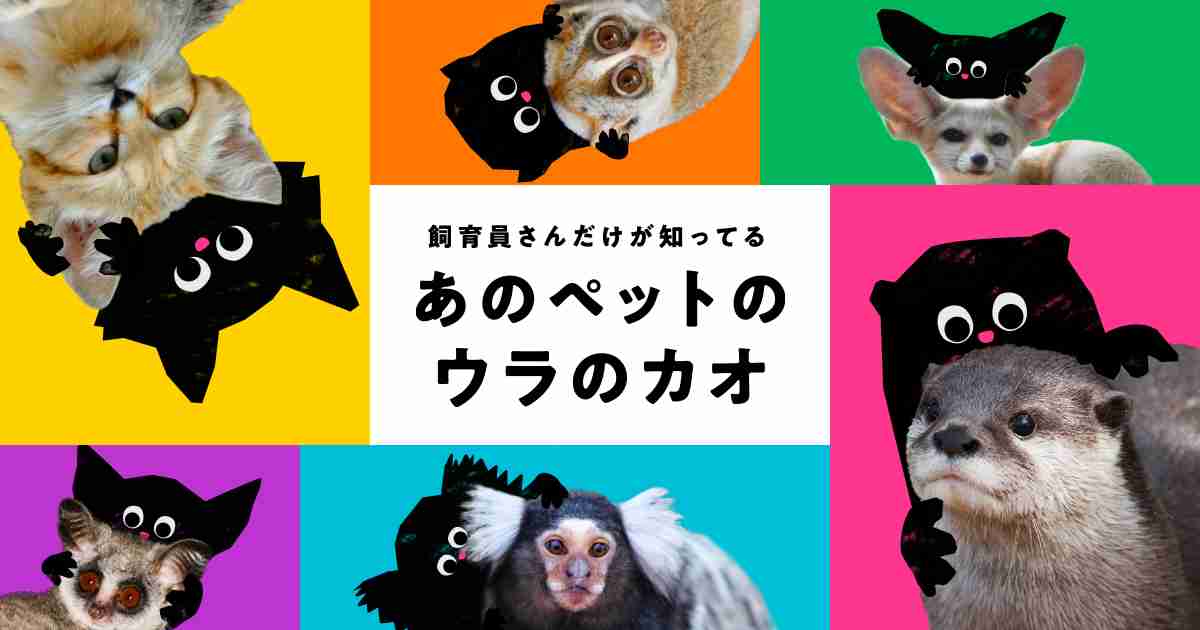 飼育員さんだけが知ってるあのペットのウラのカオ