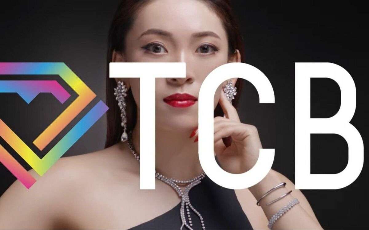 3時間“閉じ込め”＆100万円請求…東京中央美容外科（TCB）で多発する高額商法の実態　患者の証言「スタッフの目は死んでいた」 | 文春オンライン