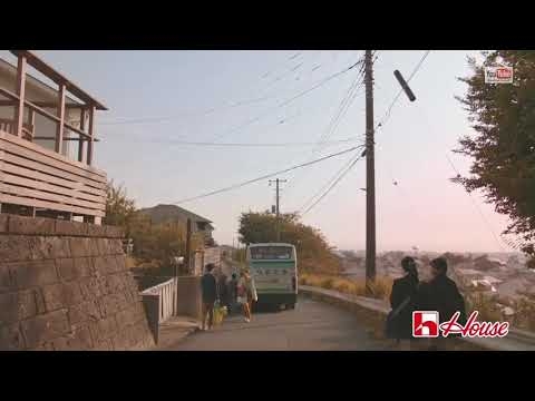 ハウス 休日のシチュー