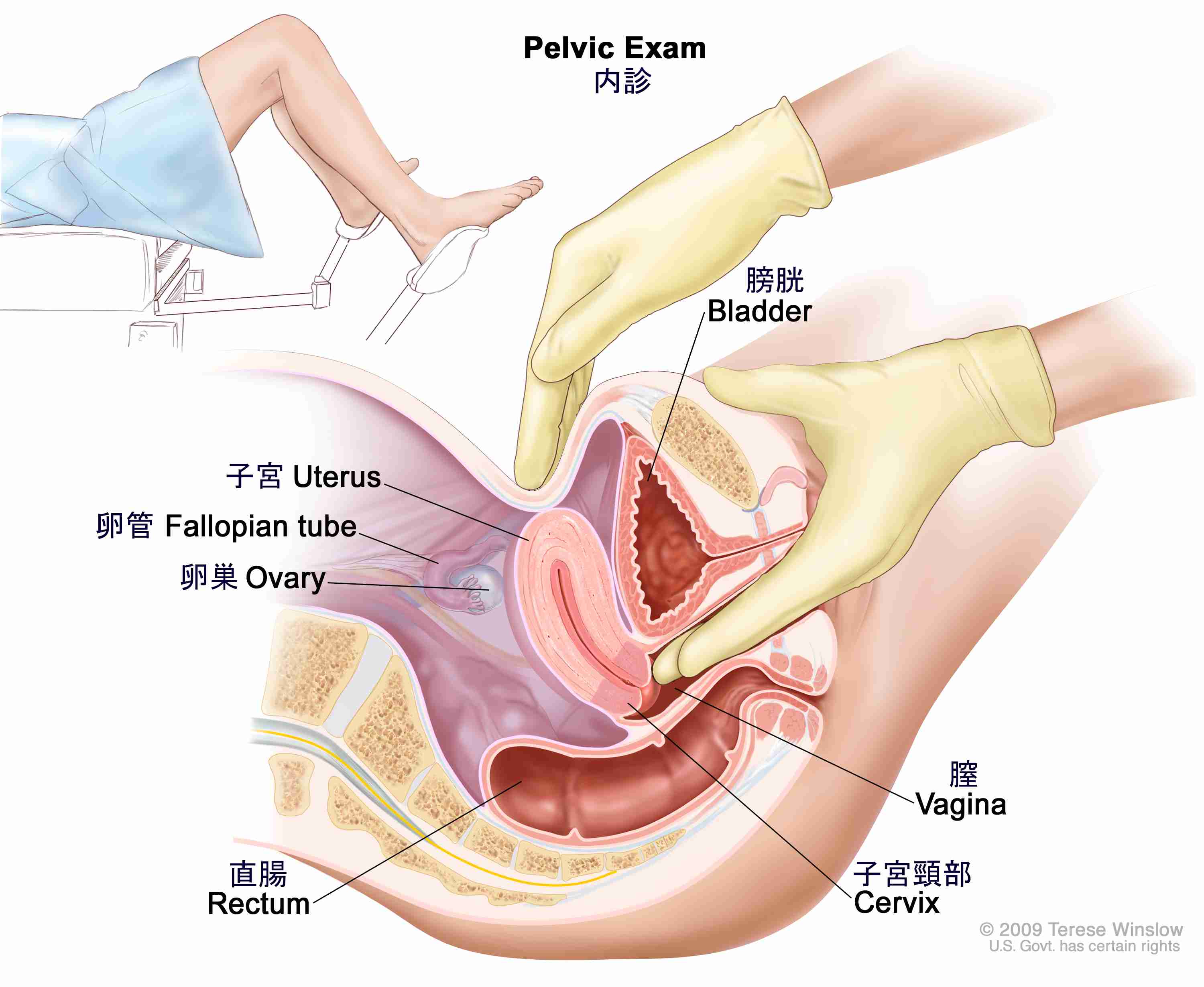 婦人科系疾患について話しませんか？