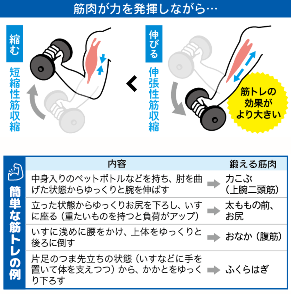 筋トレ3秒、週3回で効果　体にいい「最低ライン」判明　中村雅俊・西九州大准教授ら研究