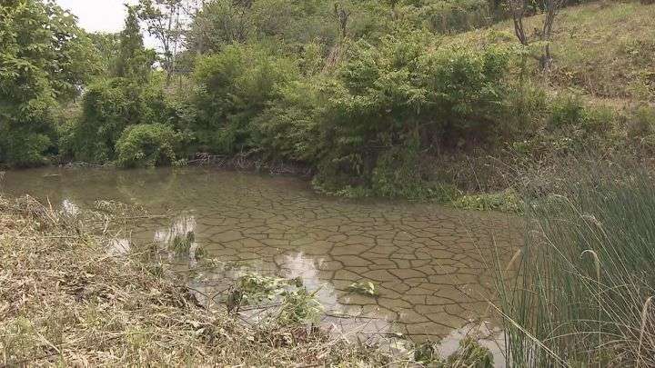 最大2.4cmの地盤沈下を確認…リニア工事行われていた岐阜県瑞浪市で水位低下に続き JR「工事が影響した可能性」 | 東海テレビNEWS