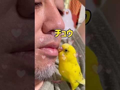 おじさんの相手をする健気な鳥