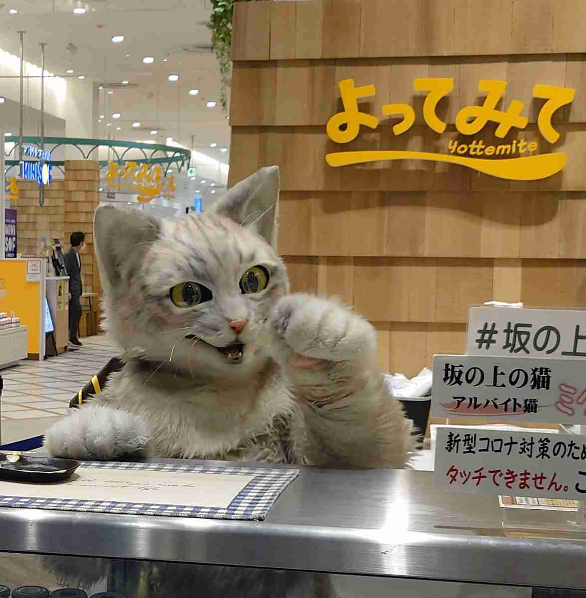 行列に並んだ事ありますか?