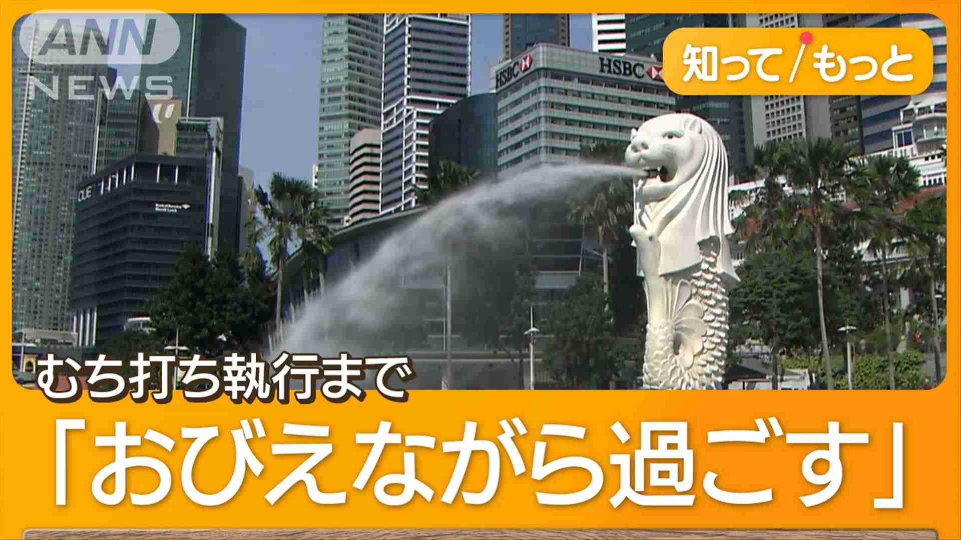 日本人に初「むち打ち刑」20回　強姦罪で判決　シンガポール…禁錮17年6カ月に加え