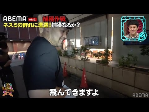 【Z李】巨大ネズミ企画に参戦！新宿租界・虎太郎が歌舞伎町で巨大ネズミ捕獲にヒヨる！？捕獲したネズミが逃走...│『BAZOOKA!!! #18』アベマで伝説回を無料公開中！