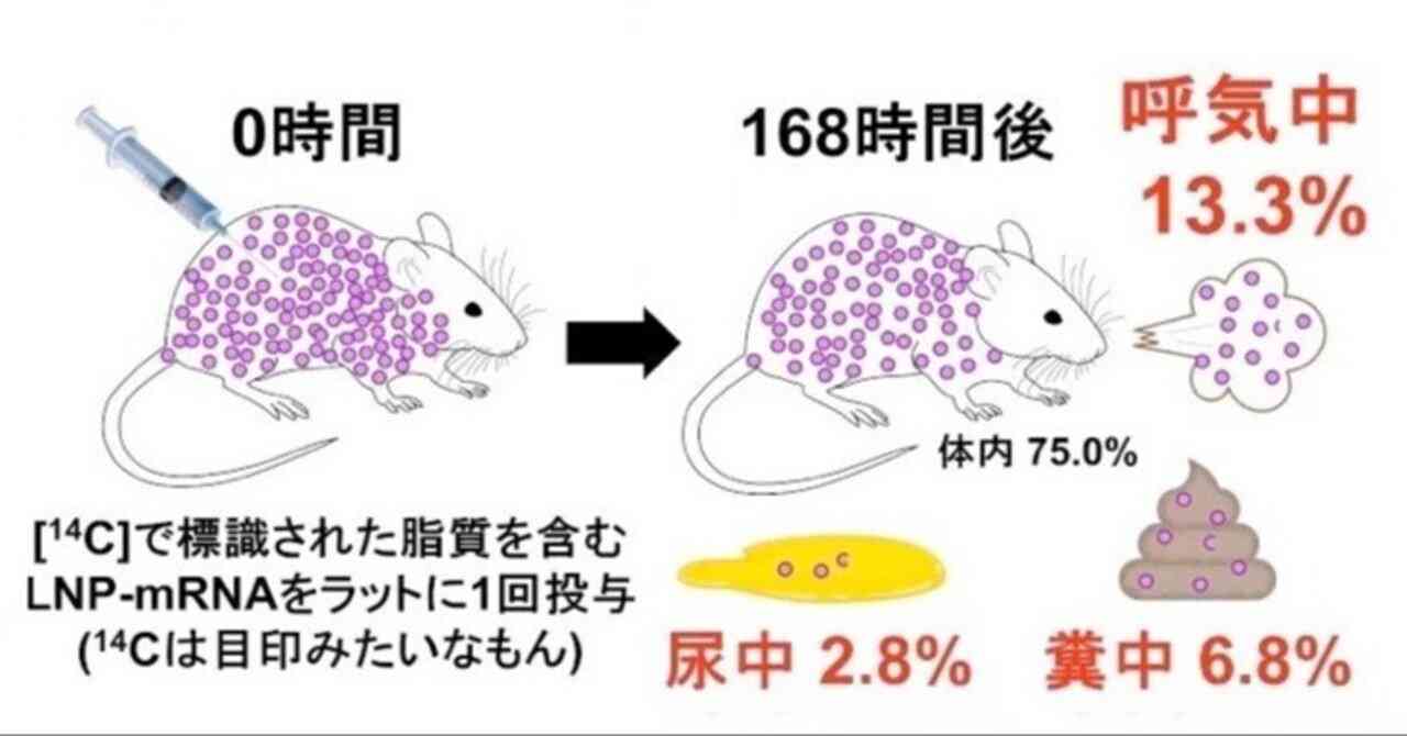 シェディングは世界的に認められた遺伝子製剤のリスク｜藤川 賢治