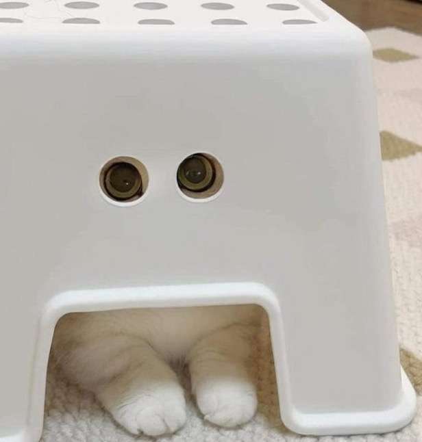 今持ってる1番謎の画像 Part3